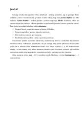 Jaunimo migracijos į užsienį priežastys 3 puslapis