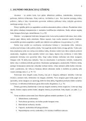 Jaunimo migracijos į užsienį priežastys 4 puslapis