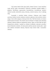 Jaunimo nedarbas. Jaunimo integravimasis į darbo rinką 13 puslapis