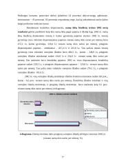 Jaunimo nedarbas. Jaunimo integravimasis į darbo rinką 17 puslapis