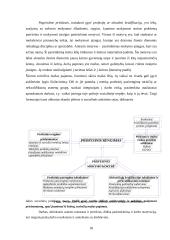 Jaunimo nedarbas. Jaunimo integravimasis į darbo rinką 18 puslapis