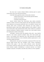 Jaunimo nedarbas. Jaunimo integravimasis į darbo rinką 20 puslapis