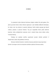 Jaunimo nedarbas. Jaunimo integravimasis į darbo rinką 3 puslapis