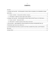 Kaimo socialinė-ekonominė struktūra