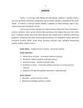 Kaimo socialinė-ekonominė struktūra 2 puslapis