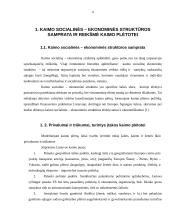 Kaimo socialinė-ekonominė struktūra 3 puslapis