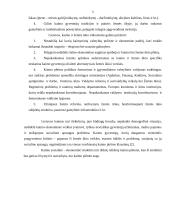 Kaimo socialinė-ekonominė struktūra 4 puslapis