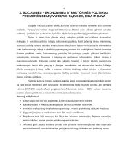 Kaimo socialinė-ekonominė struktūra 9 puslapis