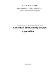 Komandinio darbo principų taikymas organizacijoje