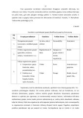 Komandinio darbo principų taikymas organizacijoje 12 puslapis