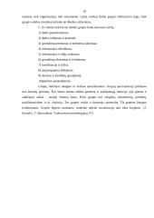 Komandinio darbo principų taikymas organizacijoje 14 puslapis