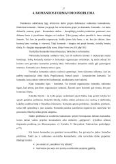 Komandinio darbo principų taikymas organizacijoje 17 puslapis