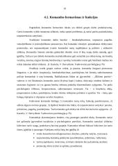 Komandinio darbo principų taikymas organizacijoje 19 puslapis