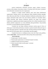 Komandinio darbo principų taikymas organizacijoje 3 puslapis