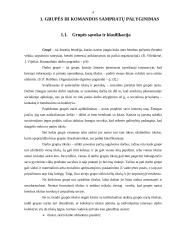 Komandinio darbo principų taikymas organizacijoje 4 puslapis