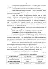 Komandinio darbo principų taikymas organizacijoje 5 puslapis