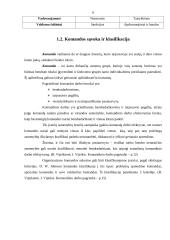 Komandinio darbo principų taikymas organizacijoje 6 puslapis