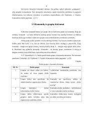 Komandinio darbo principų taikymas organizacijoje 8 puslapis