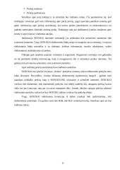 Kompanijos eStrategijos analizė: "Senukai" 11 puslapis