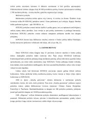 Kompanijos eStrategijos analizė: "Senukai" 9 puslapis