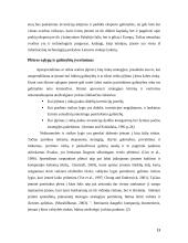 Kompiuterinės įrangos didmeninės prekybos įmonės ekspansijos strategija tarptautinės vadybos kontekste 13 puslapis