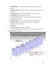 Kompiuterinės įrangos didmeninės prekybos įmonės ekspansijos strategija tarptautinės vadybos kontekste 14 puslapis