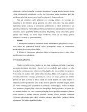 Kompiuterinės įrangos didmeninės prekybos įmonės ekspansijos strategija tarptautinės vadybos kontekste 17 puslapis