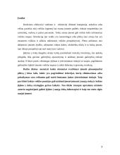 Kompiuterinės įrangos didmeninės prekybos įmonės ekspansijos strategija tarptautinės vadybos kontekste 3 puslapis