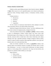 Kompiuterinės įrangos didmeninės prekybos įmonės ekspansijos strategija tarptautinės vadybos kontekste 8 puslapis