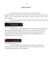 Kompiuterių tinklo projektavimas 17 puslapis