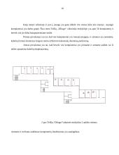 Kompiuterių tinklo projektavimas 9 puslapis