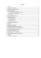 Komunikacijos svarba elektroninėje komercijoje 2 puslapis