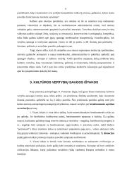 Kultūros vertybių tarptautinė teisinė apsauga 5 puslapis