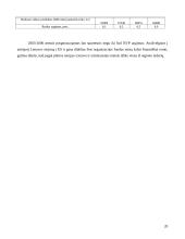 Lietuvos bendrasis vidaus produktas (BVP) 19 puslapis