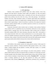 Lietuvos bendrasis vidaus produktas (BVP) 3 puslapis