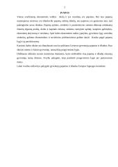 Lietuvos gyventojų pajamų ir išlaidų analizė 2 puslapis