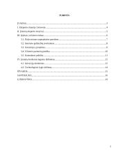 Lietuvos įmonių eksporto plėtros galimybių įvertinimas 2 puslapis