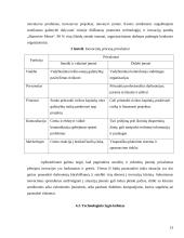 Lietuvos įmonių eksporto plėtros galimybių įvertinimas 13 puslapis