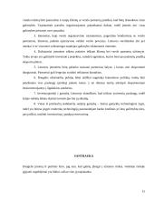 Lietuvos įmonių eksporto plėtros galimybių įvertinimas 15 puslapis