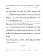 Lietuvos įmonių eksporto plėtros galimybių įvertinimas 18 puslapis