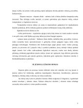 Lietuvos įmonių eksporto plėtros galimybių įvertinimas 6 puslapis