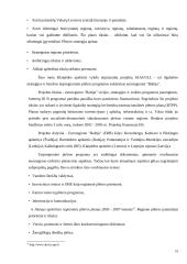 Lietuvos regioninė politika 17 puslapis