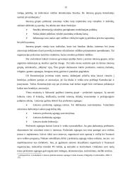 Lietuvos Respublikos (LR) politinė sistema 13 puslapis