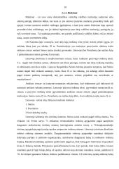 Lietuvos Respublikos (LR) politinė sistema 10 puslapis