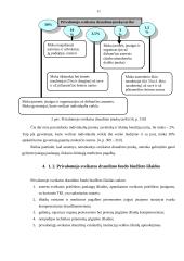 Lietuvos sveikatos draudimo fondo biudžeto analizė 11 puslapis