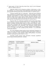 Marketingo planas tarptautinei rinkai: "Chappi" dešros šunims 14 puslapis