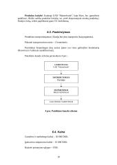 Marketingo planas tarptautinei rinkai: "Chappi" dešros šunims 18 puslapis