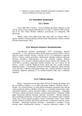 Marketingo planas tarptautinei rinkai: "Chappi" dešros šunims 5 puslapis