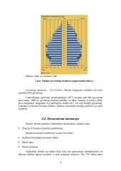 Marketingo planas tarptautinei rinkai: "Chappi" dešros šunims 9 puslapis