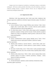 Mažekių miesto gyventojų gyvenimo kokybė ir gyvenamoji aplinka 11 puslapis